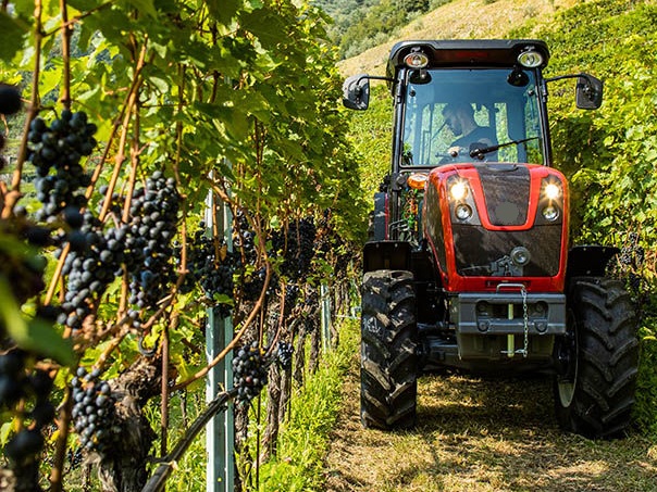 Horticol și viticol