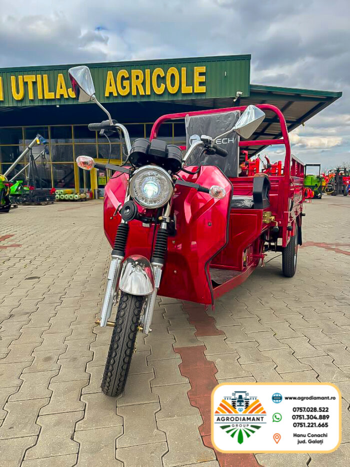 Triciclu Tricicletă electrică cargo TUK TUK cu benă basculabilă și 2 locuri RAY-TECH - imagine 2