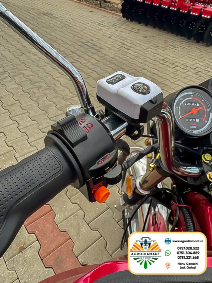 Triciclu Tricicletă electrică cargo TUK TUK cu benă basculabilă și 2 locuri RAY-TECH - imagine 6
