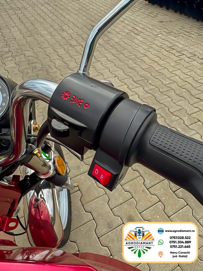 Triciclu Tricicletă electrică cargo TUK TUK cu benă basculabilă și 2 locuri RAY-TECH - imagine 7