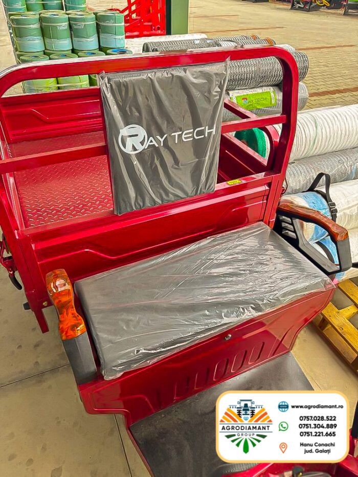 Triciclu Tricicletă electrică cargo TUK TUK cu benă basculabilă și 2 locuri RAY-TECH - imagine 11